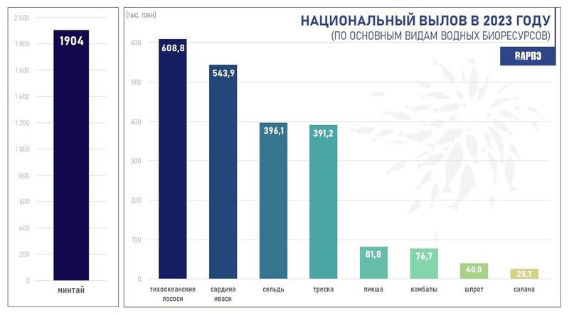 Новости первый канал 13 ноября