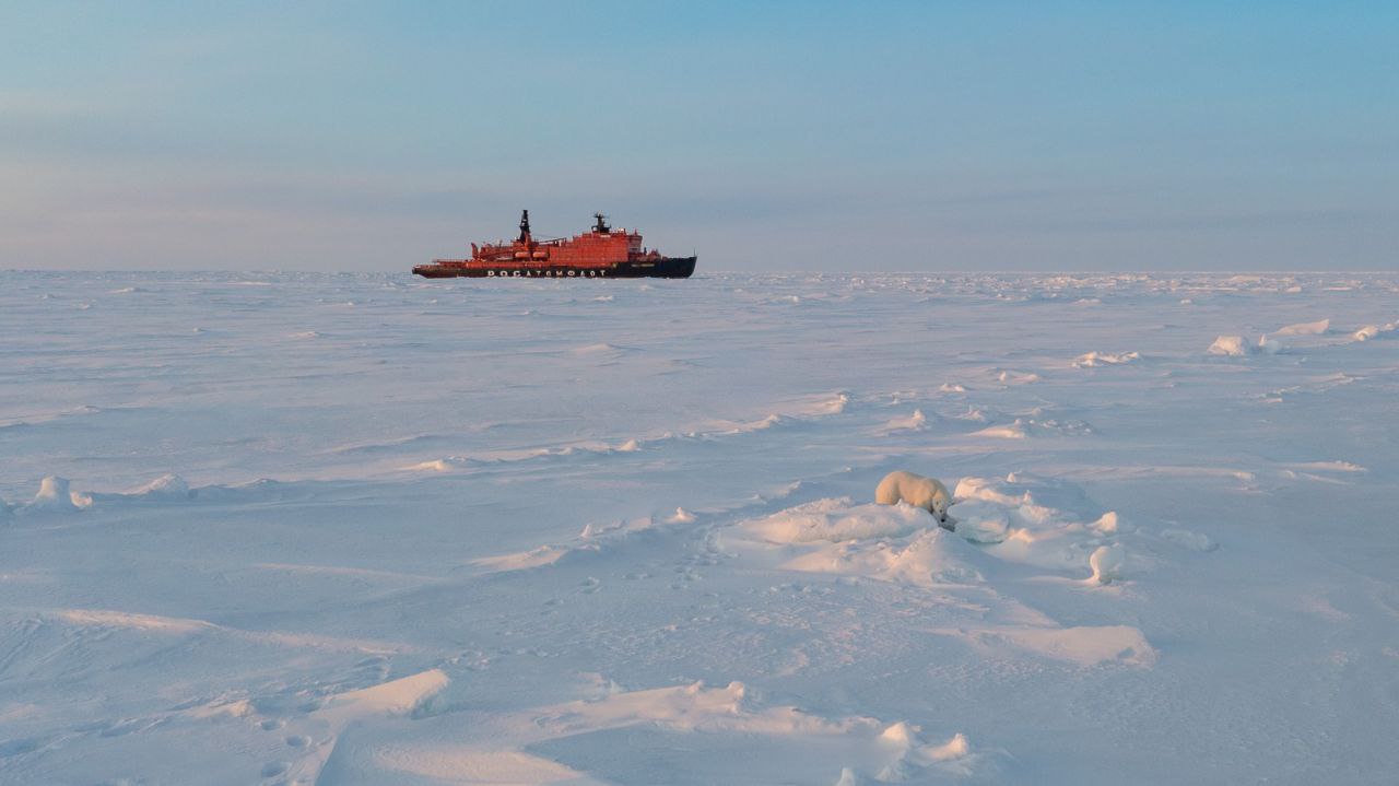 Арктика море. Арктические моря. Хозяин Арктики. ААНИИ фото.