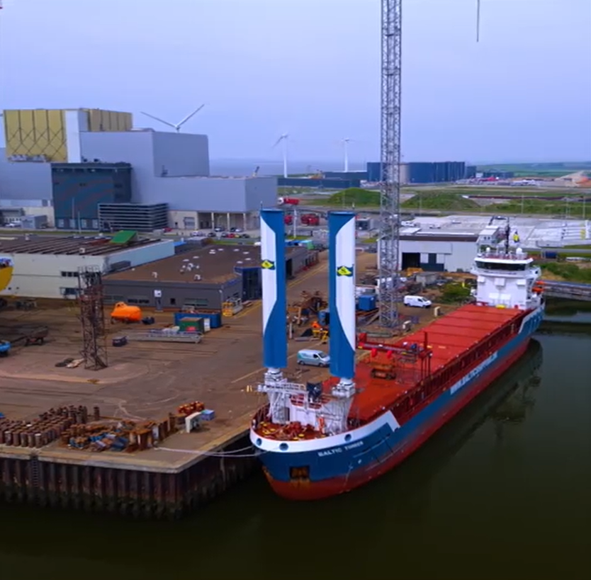Baltic Timber с парксами