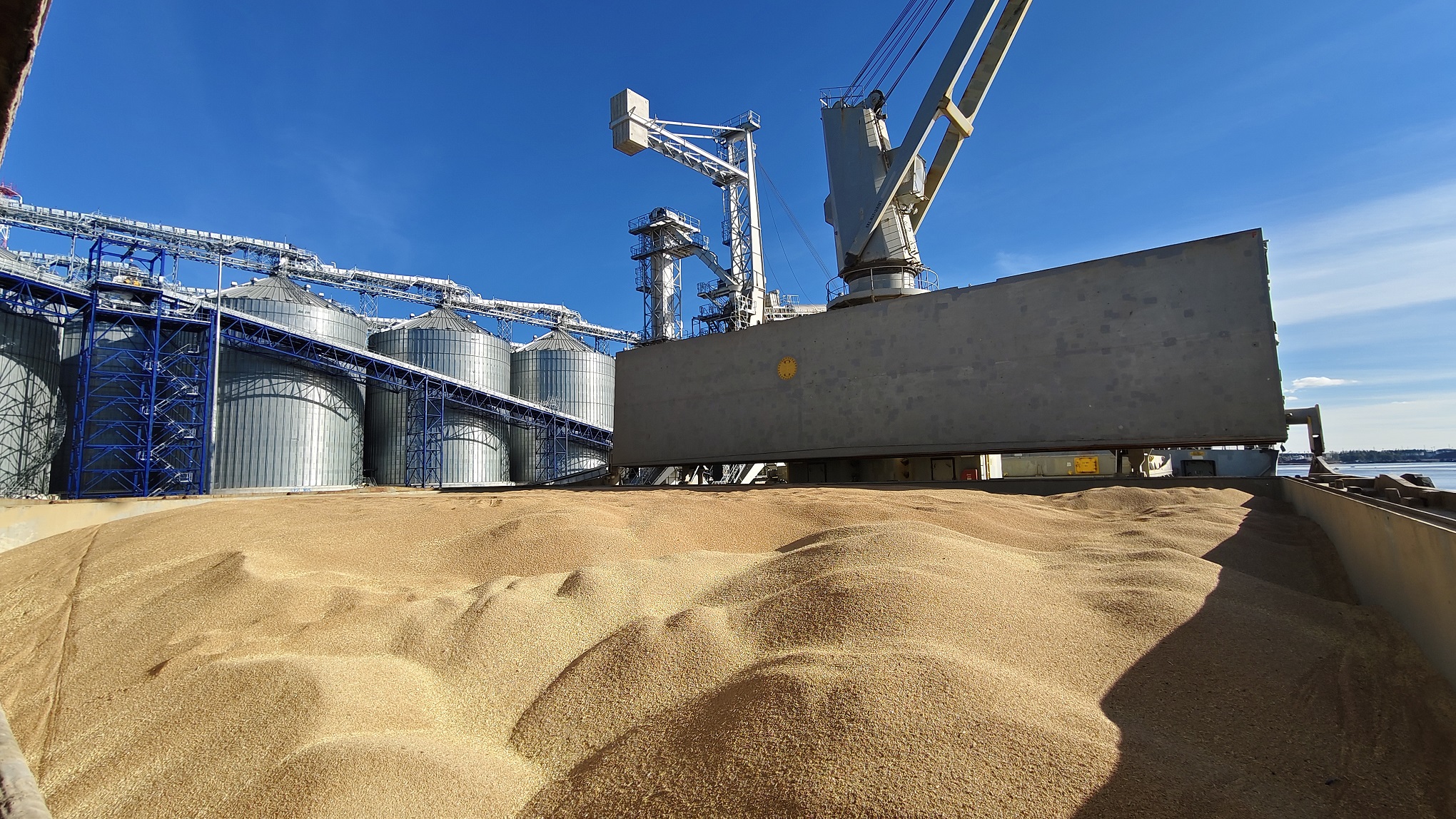 U.S. Wheat Export Inspections Surge as Philippines Leads Demand