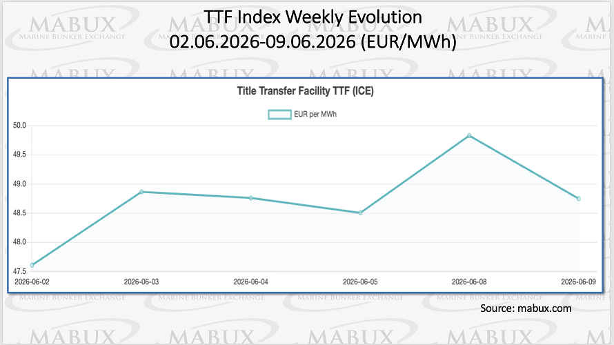 TTF Index W 24
