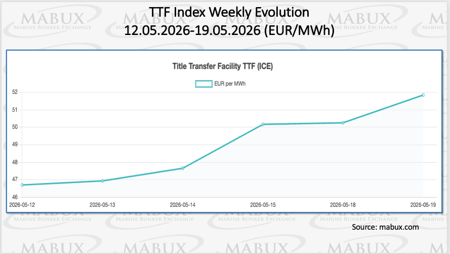 TTF Index W 21
