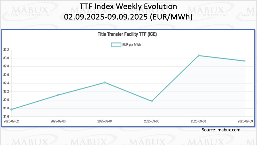 TTF Index W 37