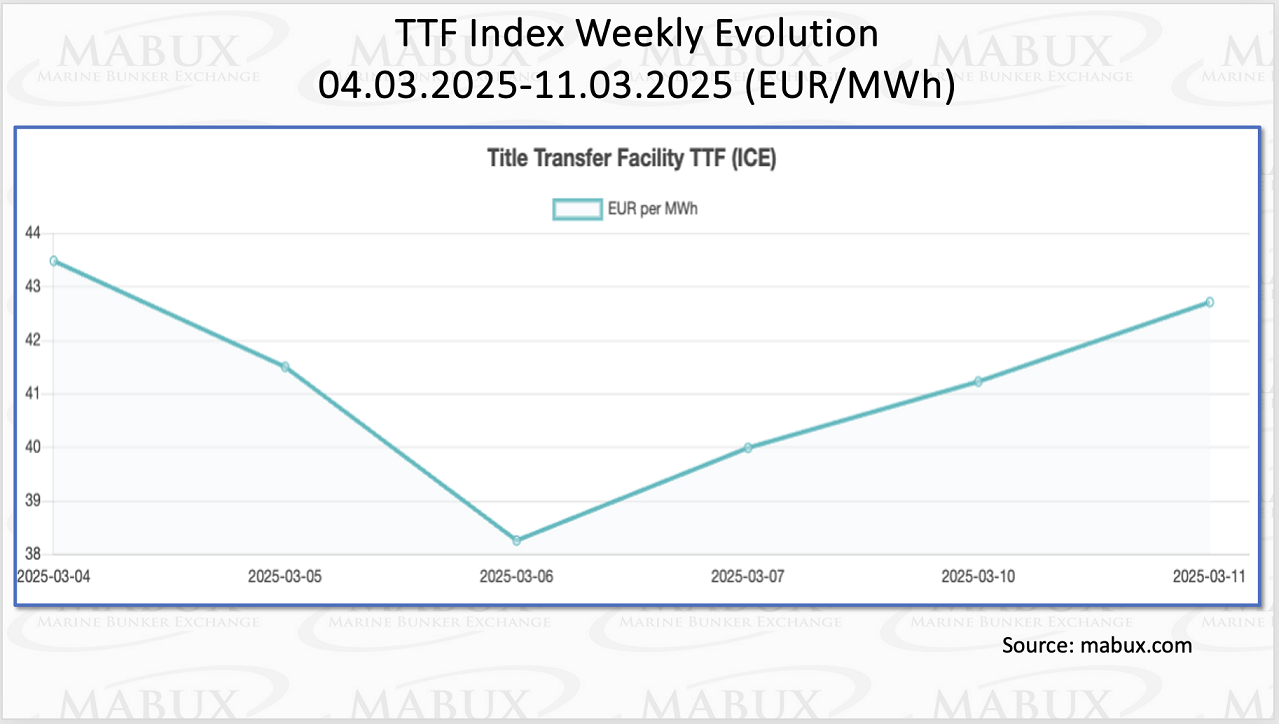 TTF Index W 11