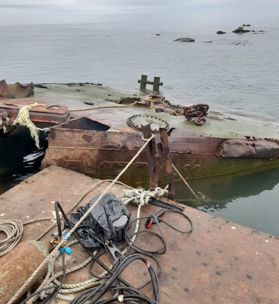 Красногорец-11 Красногорец-11