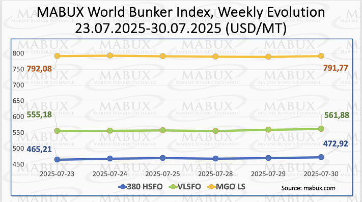 MABUX Index W 31 MABUX Index W 31