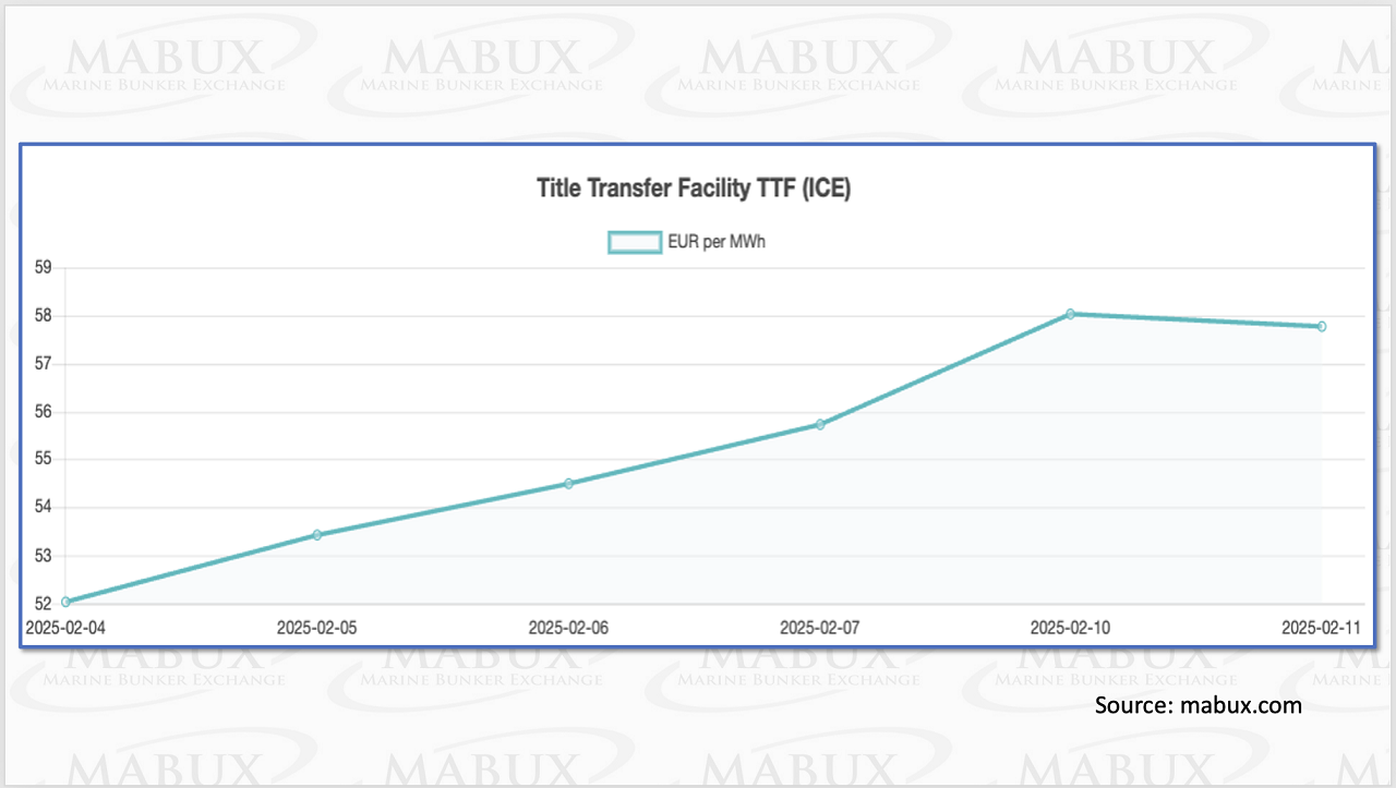 TTF Index