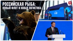 Российская рыба: новый флот и новая логистика. Итоги Global Fishery Forum & Seafood Expo Russia - 2026